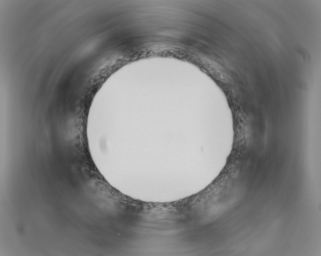 X0000113030824200908271053