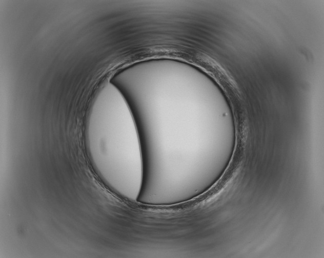 X0000113030825200908271053