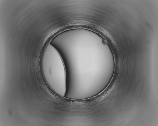 X0000113030826200908271053
