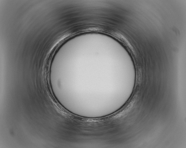 X0000113030827200908271053
