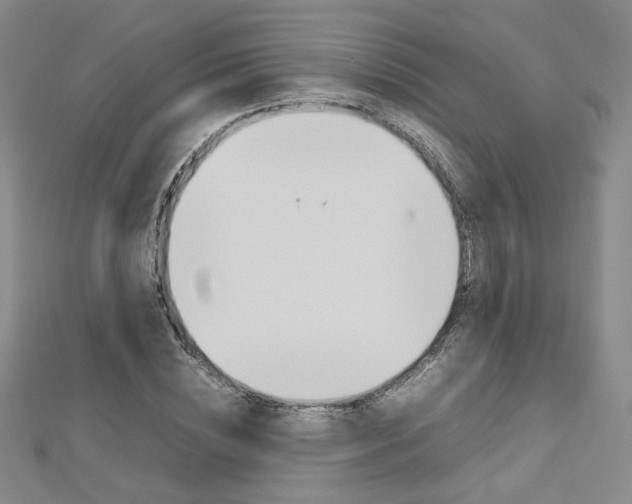 X0000113030828200908271053
