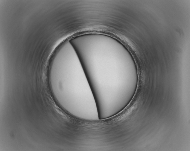 X0000113030830200908271053