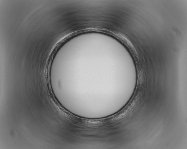 X0000113030831200908271053