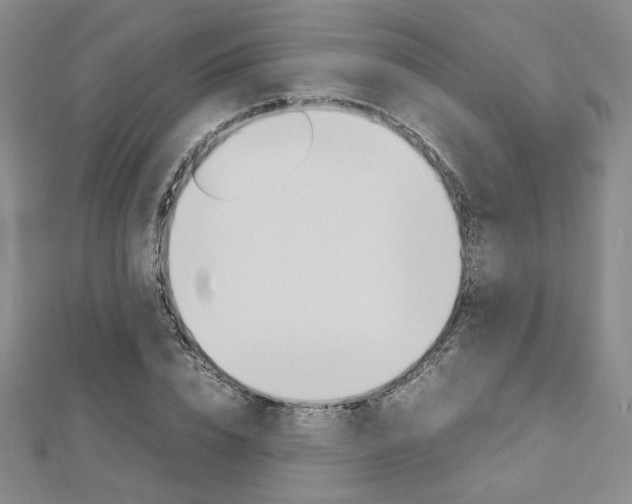 X0000113030832200908271053
