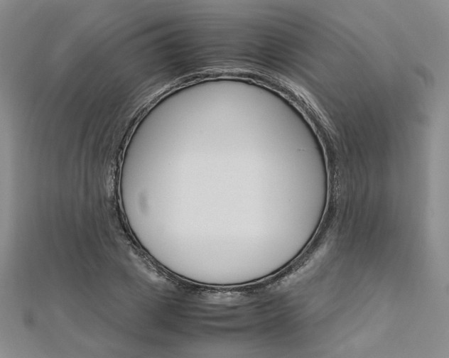 X0000113030833200908271053