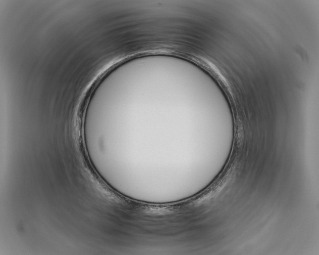 X0000113030835200908271053