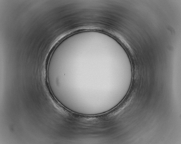 X0000113030837200908271053
