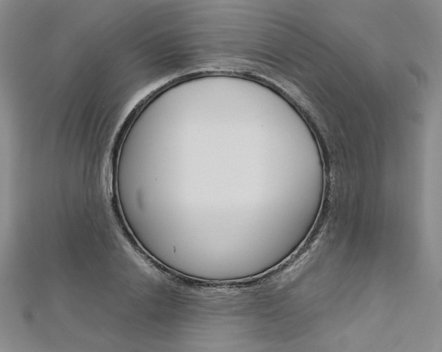 X0000113030838200908271053