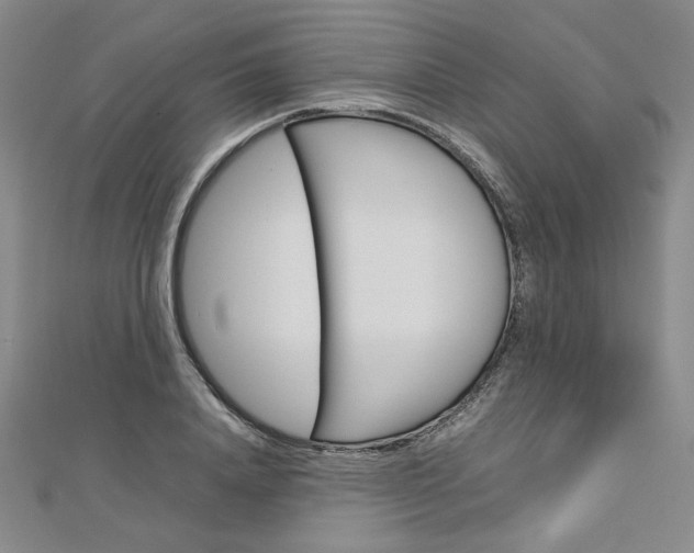 X0000113030840200908271053