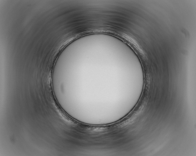 X0000113030841200908271053