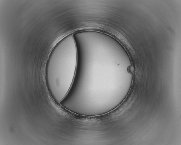 X0000113030842200908271053