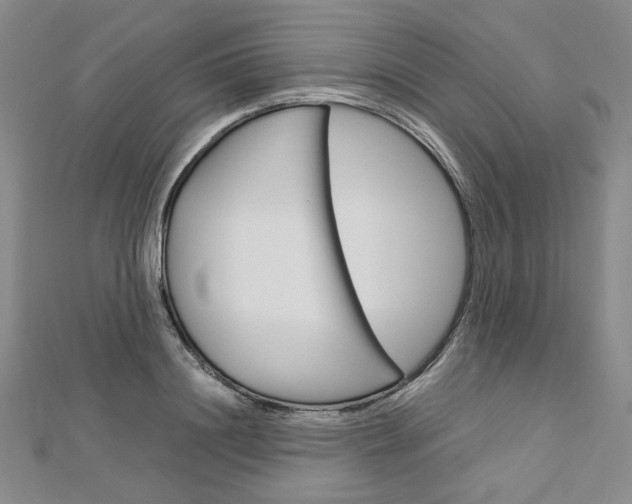X0000113030844200908271053
