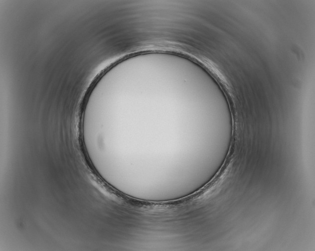 X0000113030846200908271053