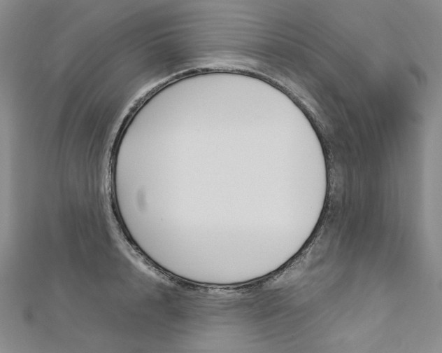 X0000113030848200908271053