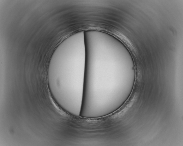 X0000113030849200908271053