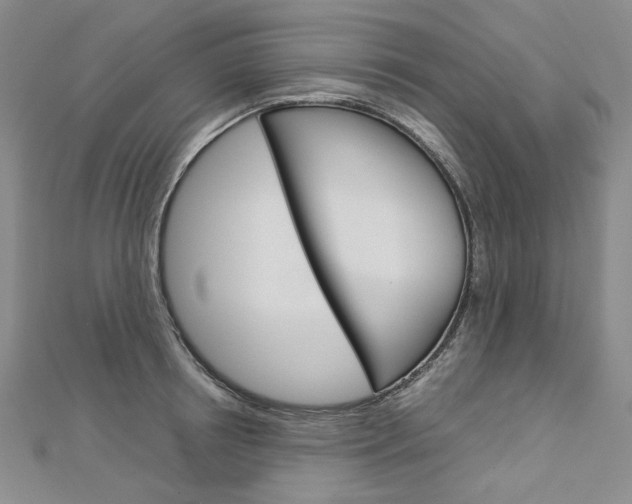 X0000113030850200908271053