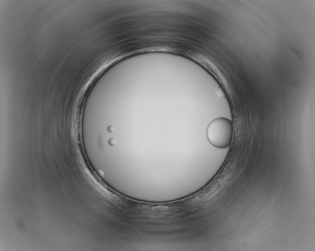 X0000113030851200908271053