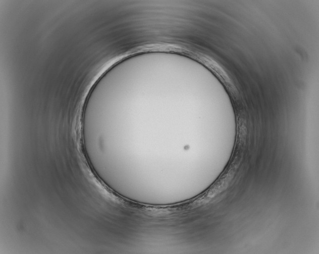 X0000113030852200908271053