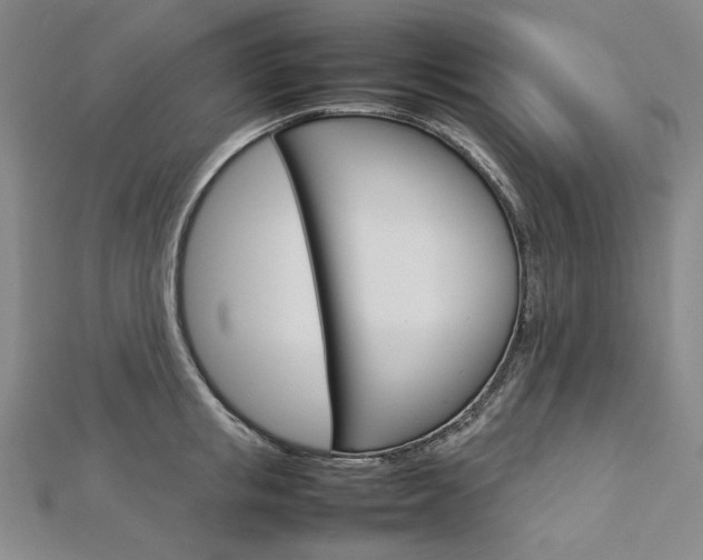 X0000113030853200908271053