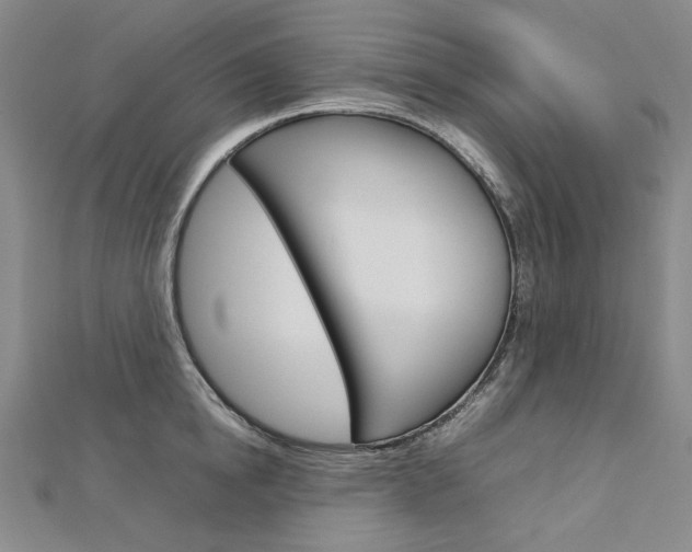 X0000113030854200908271053