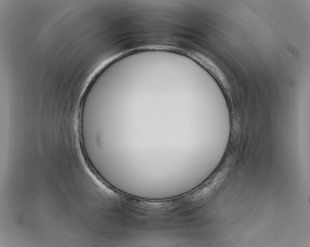 X0000113030855200908271053