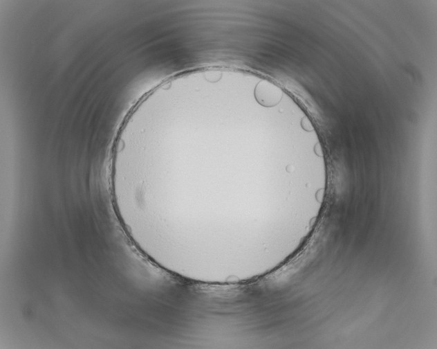 X0000113030856200908271053