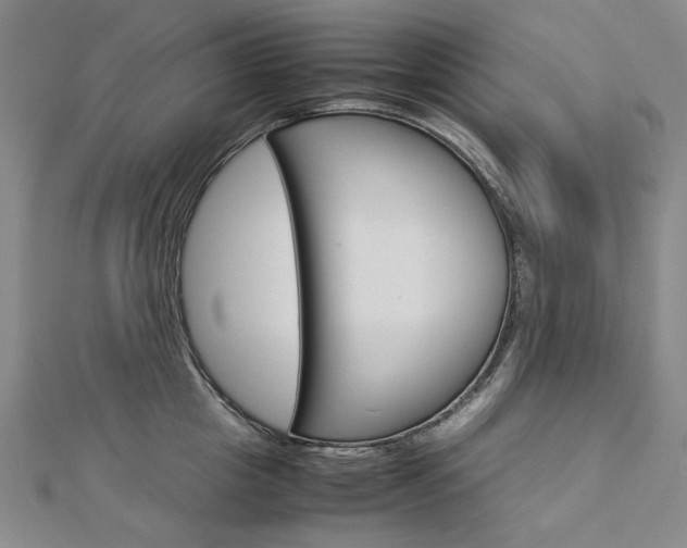 X0000113030857200908271053