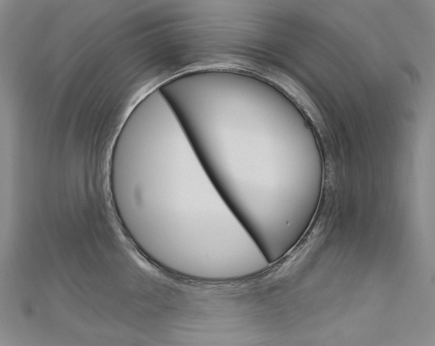 X0000113030858200908271053