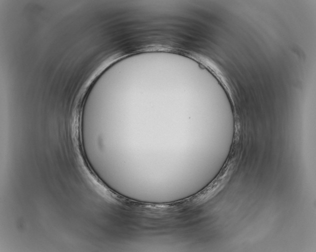 X0000113030859200908271053