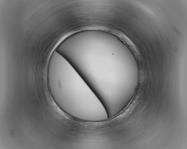 X0000113030860200908271053