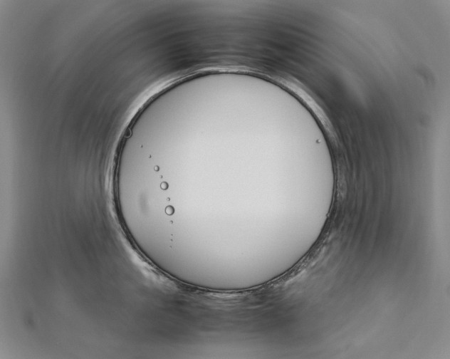 X0000113030861200908271053