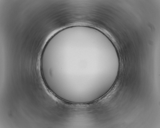 X0000113030862200908271053
