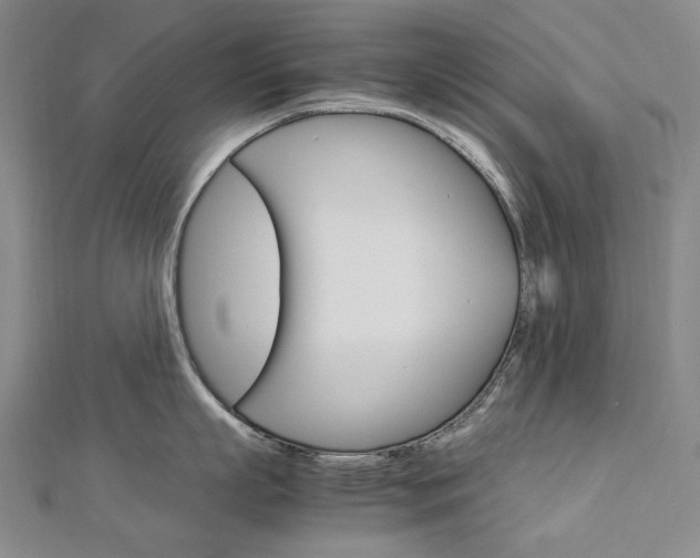 X0000113030863200908271053