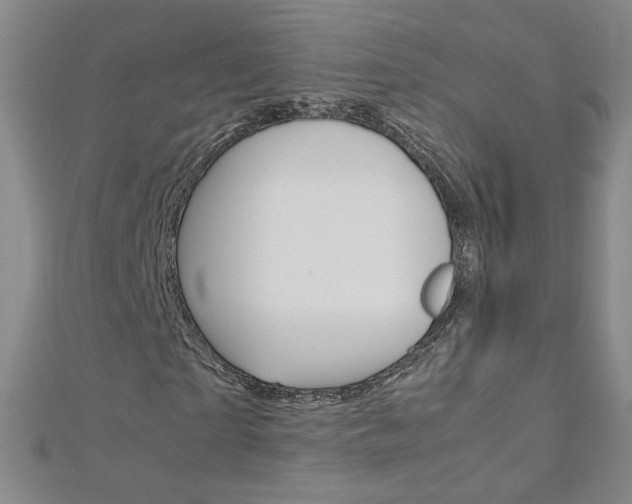 X0000113030865200908271053