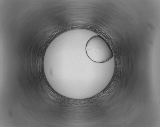 X0000113030868200908271053