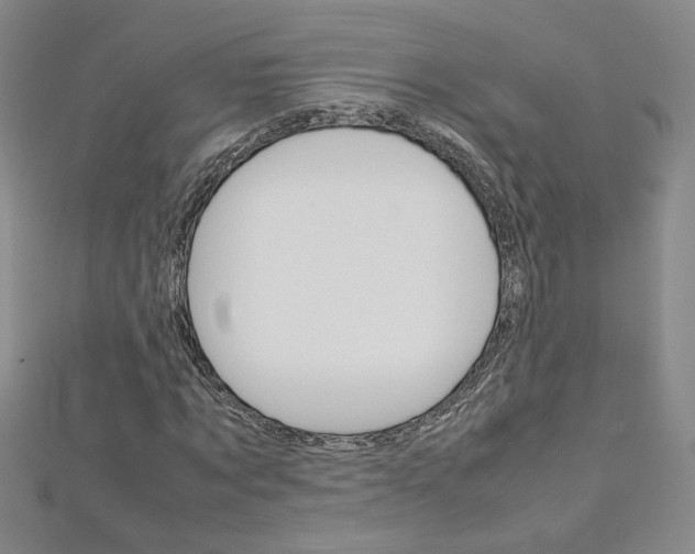 X0000113030869200908271053