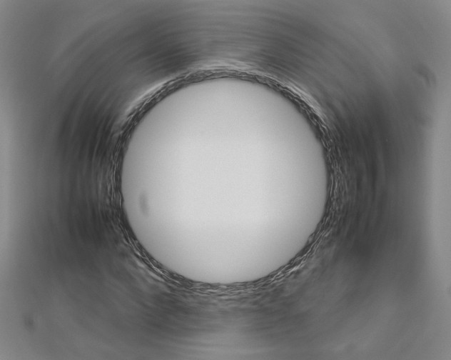 X0000113030872200908271053