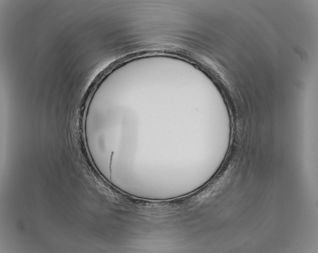 X0000113030875200908271053