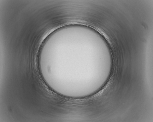 X0000113030877200908271053
