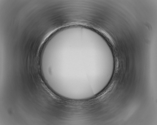 X0000113030878200908271053