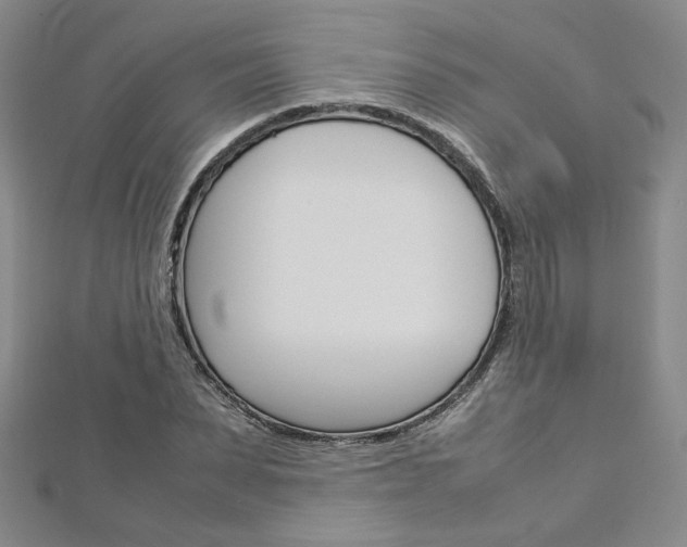 X0000113030879200908271053