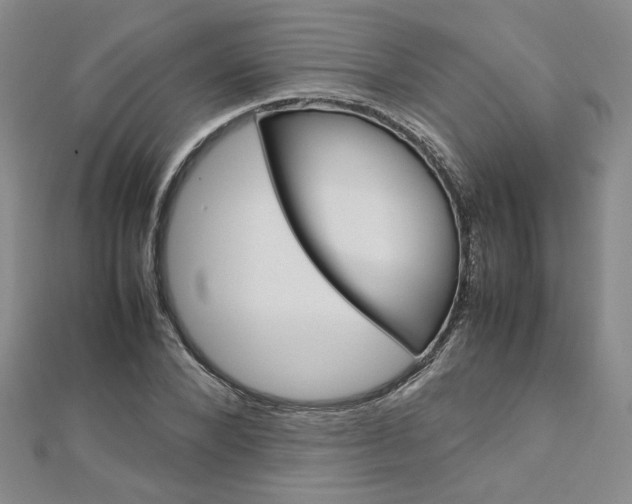 X0000113030880200908271053
