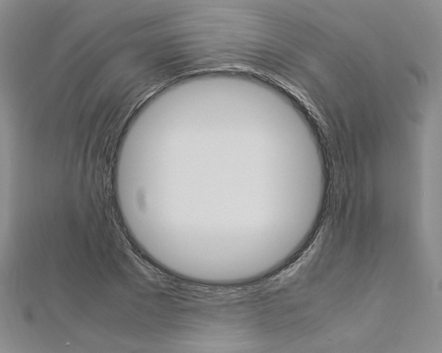 X0000113030881200908271053