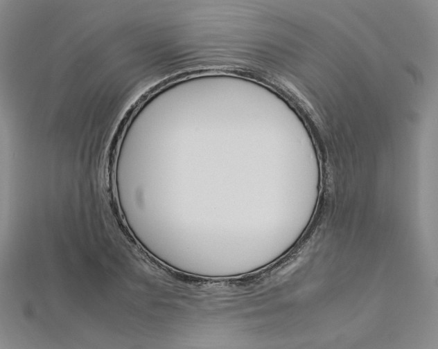 X0000113030883200908271053