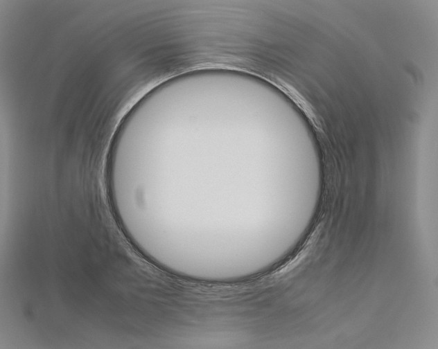 X0000113030885200908271053