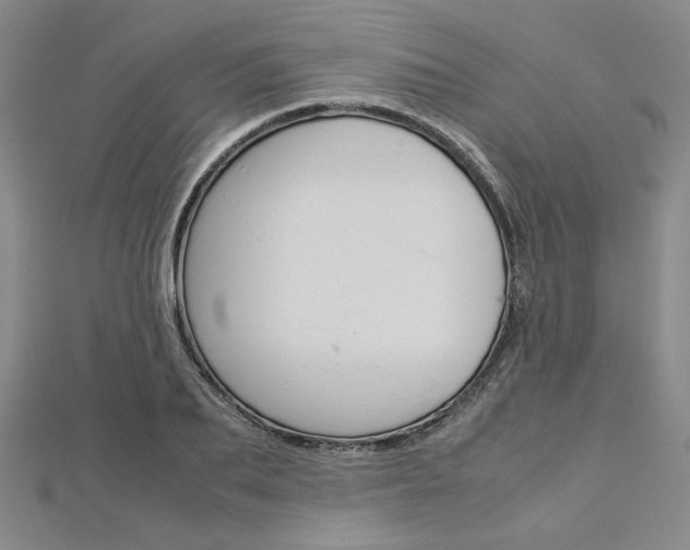 X0000113030887200908271052