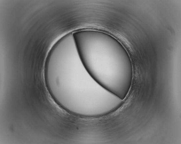 X0000113030888200908271052