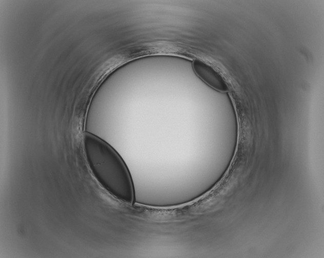 X0000113030889200908271052