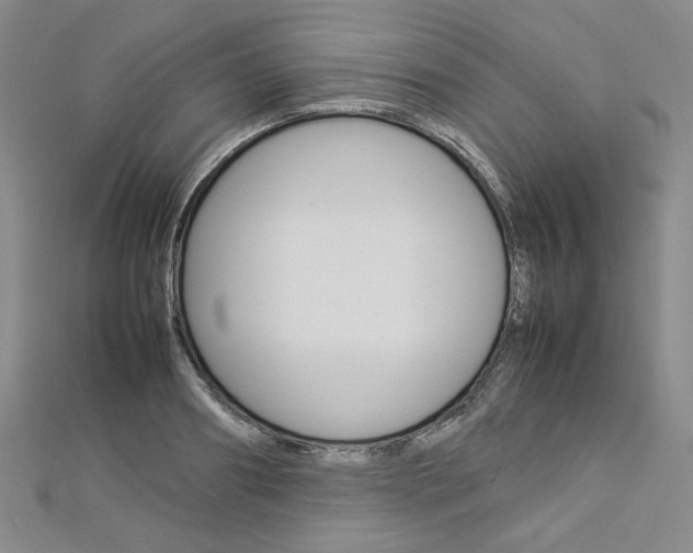 X0000113030890200908271052
