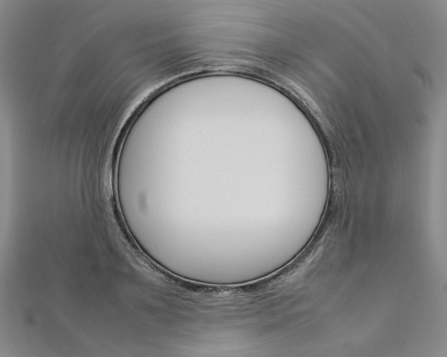 X0000113030891200908271052